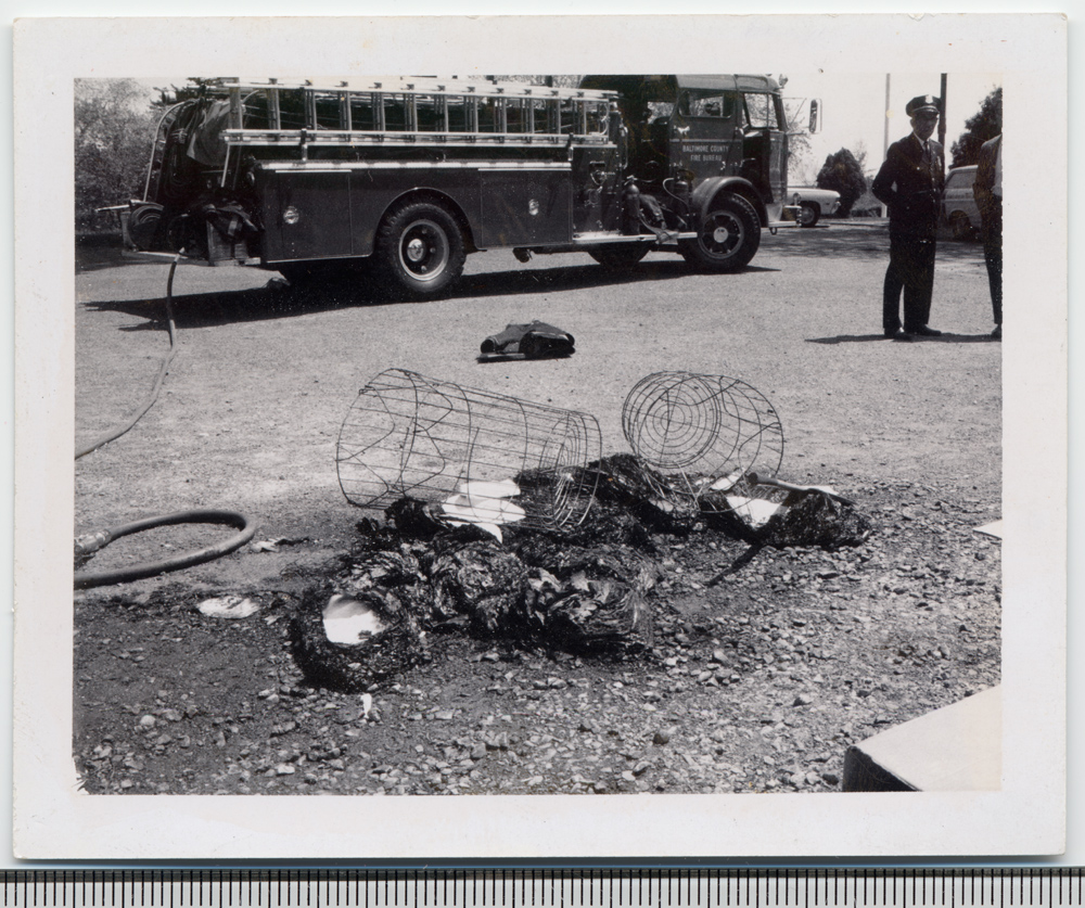 Remains of burned draft records: the scene in Catonsville just after the event.